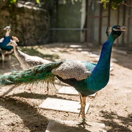 بيت للعطل Casa De Ferreira