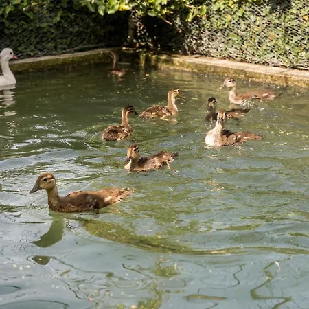 بيت للعطل Casa De Ferreira *