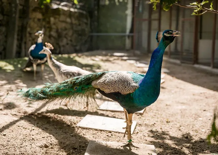 Ferienhaus Casa De Ferreira