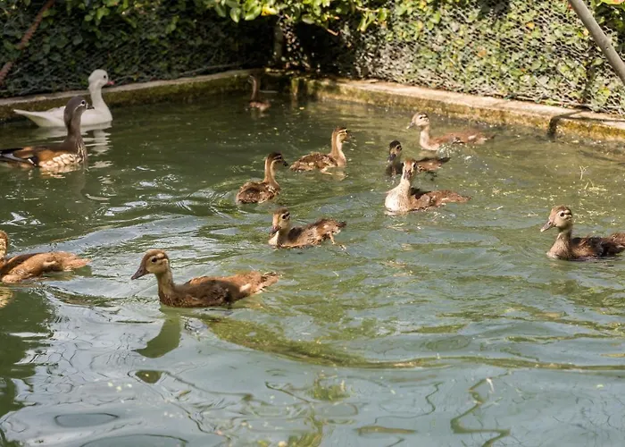 Ferienhaus Casa De Ferreira *